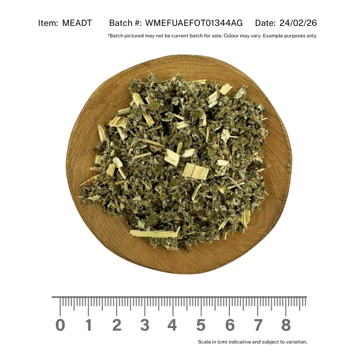 Meadowsweet Herb - Image 2
