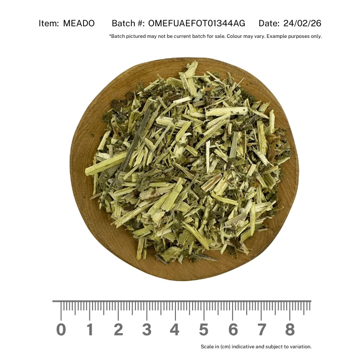 Meadowsweet Herb Organic - Image 2