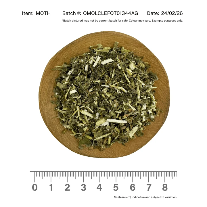 Motherwort Organic - Image 2