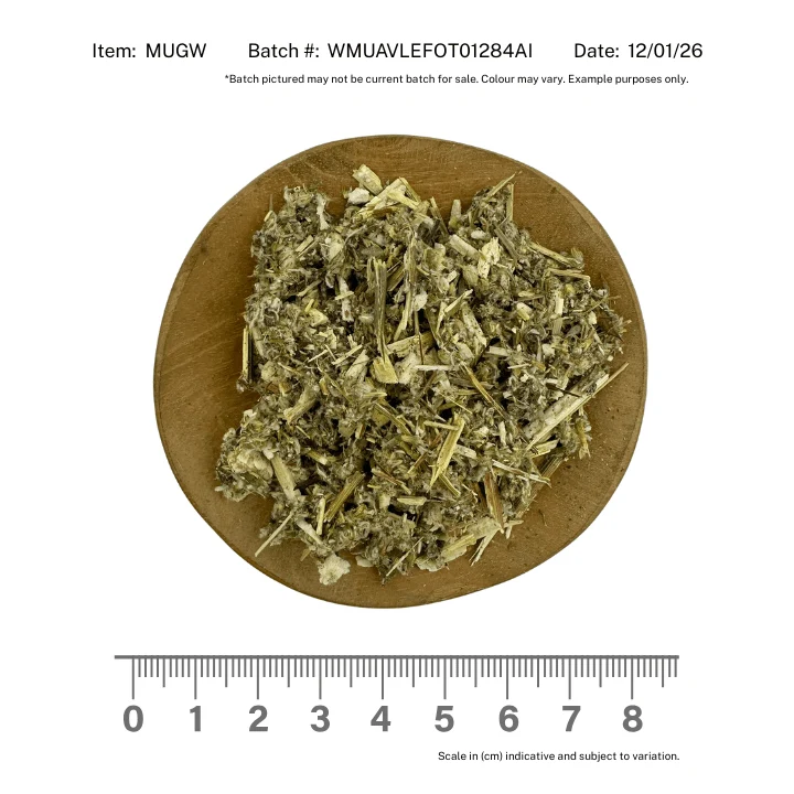 Mugwort - Image 2