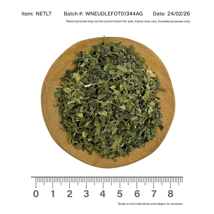 Nettle Leaf - Image 2