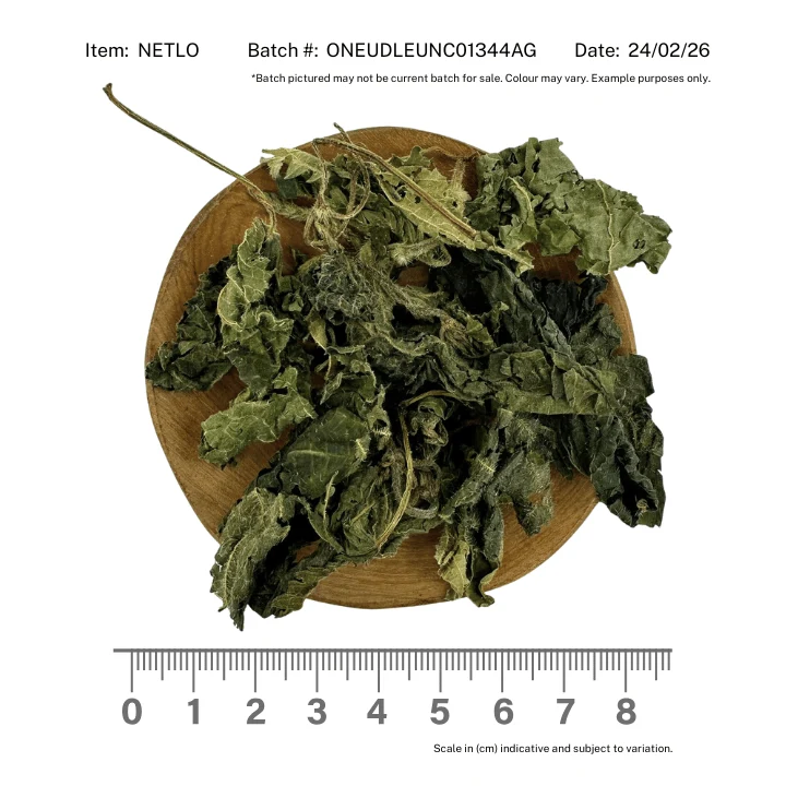 Nettle Leaf Organic - Image 2