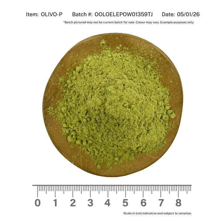 Olive Leaf Organic Powder - Image 2