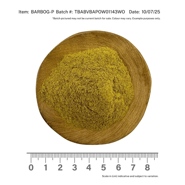 Organically Grown Barberry Bark Powder - Image 2