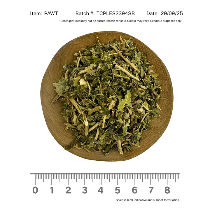 Paw Paw Leaf - Image 2