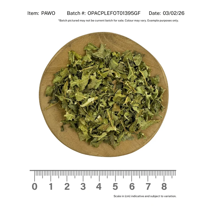 Paw Paw Leaf Organic - Image 2
