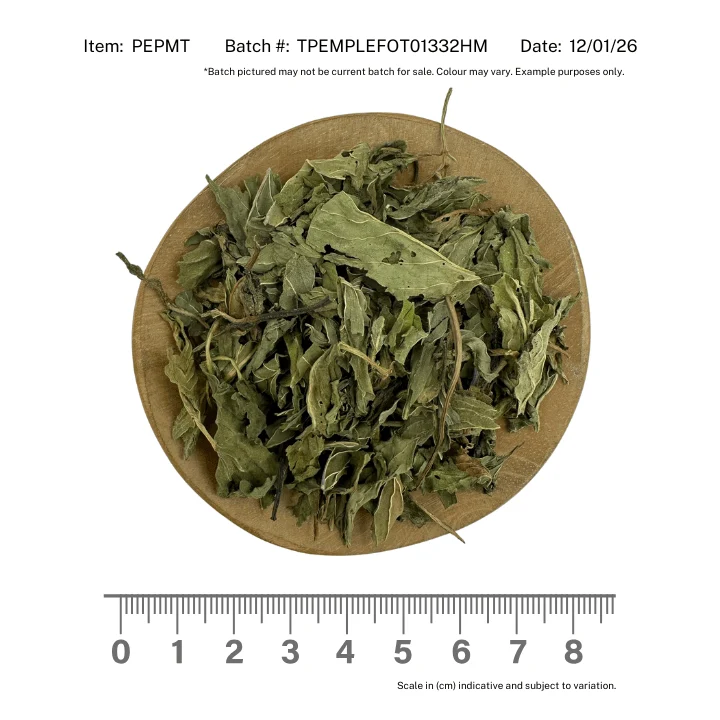 Peppermint Leaf - Image 2