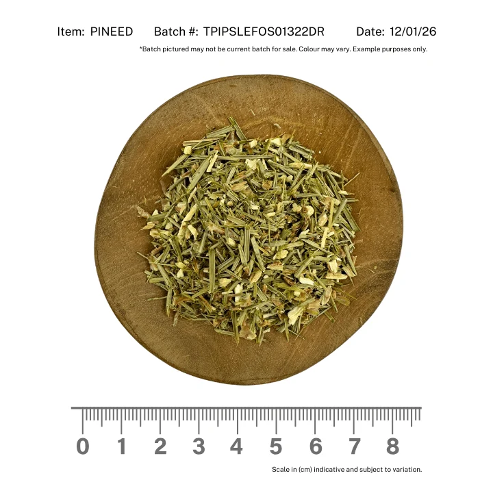 Pine Needles - Image 2