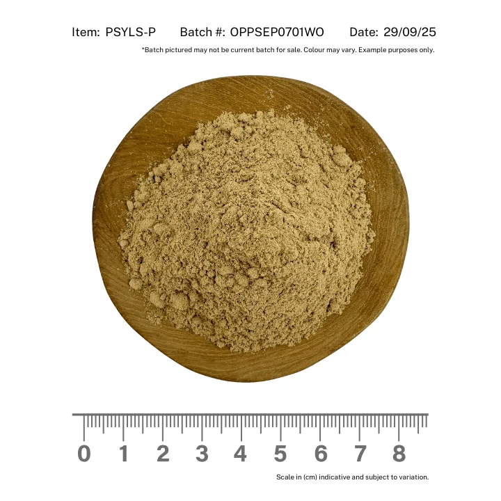Psyllium Seed Organic Powder - Image 2