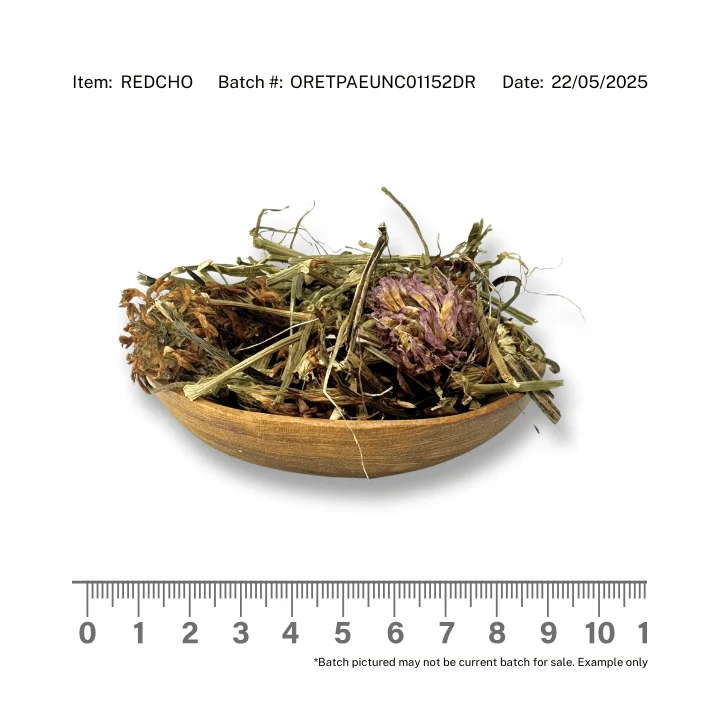 Red Clover Herb /Tops with Flower Organic - Image 2