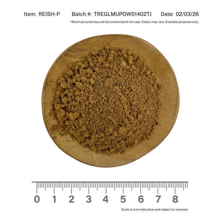 Reishi Mushroom Powder - Image 2