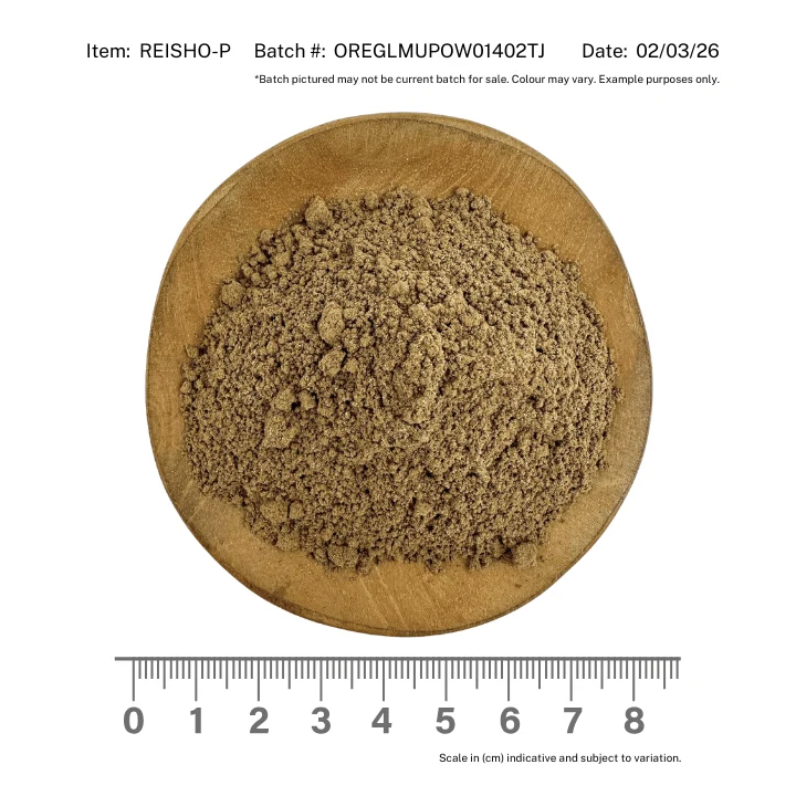Reishi Mushroom Powder Organic - Image 2