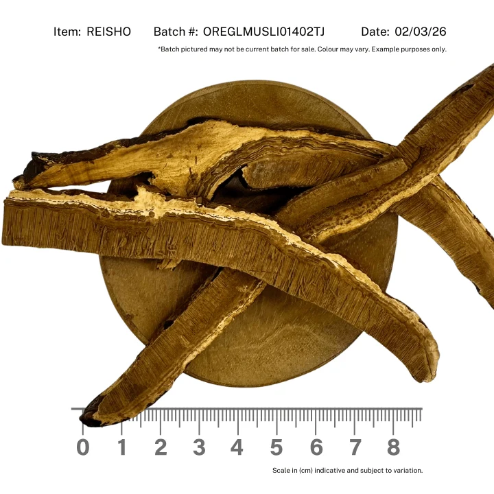 Reishi Mushroom Slices Organic - Image 2