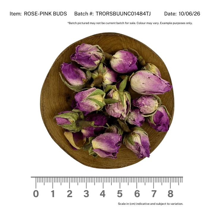 Rose Buds - Pink - Image 2