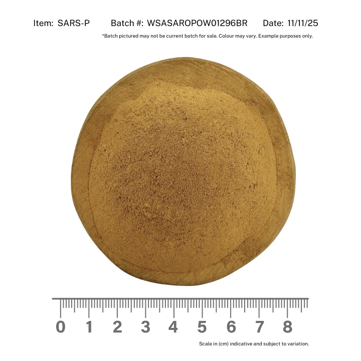 Sarsaparilla Powder - Image 2