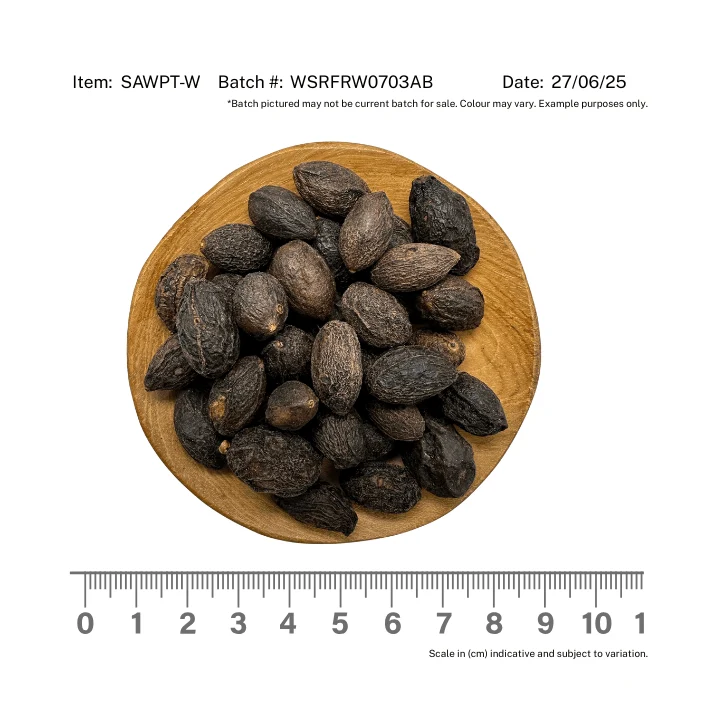 Saw Palmetto Berries, Whole, Wildcrafted - Image 2