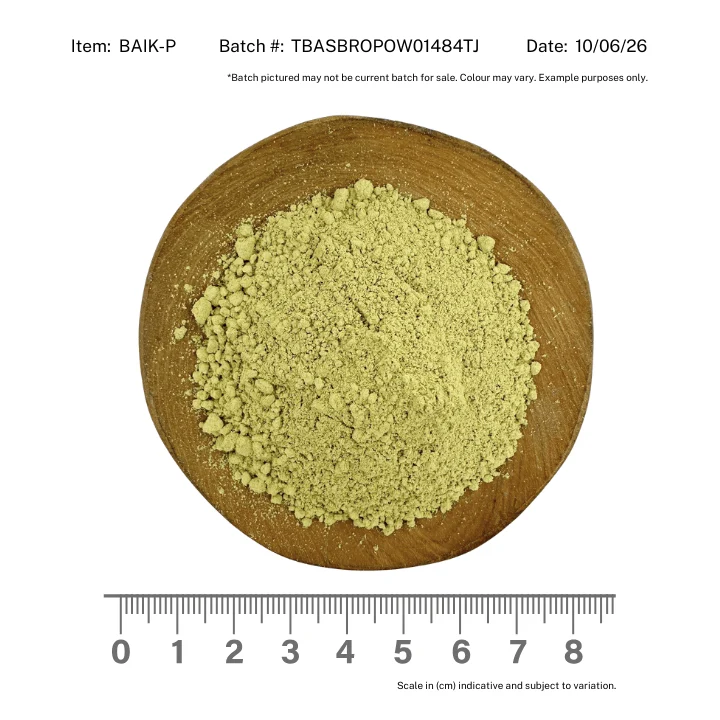 Scullcap Baikal Powder - Image 2