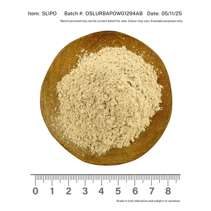 Slippery Elm Bark Organic Powder - Image 2