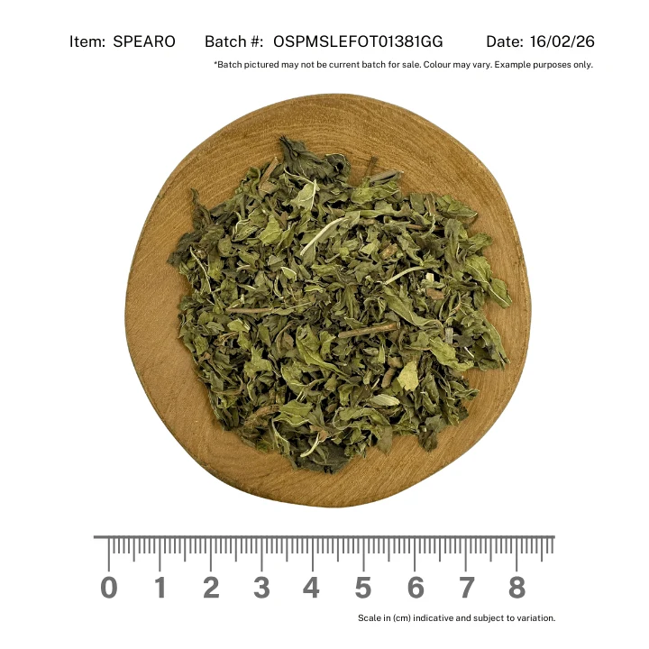 Spearmint Herb Organic - Image 2