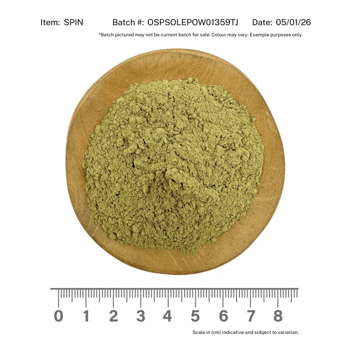 Spinach Powder Organic - Image 2
