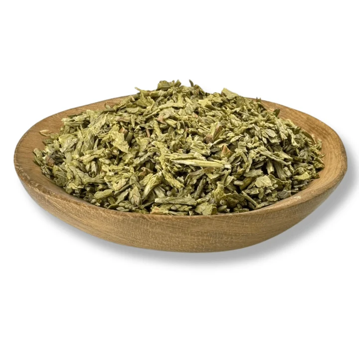 Thuja Herb