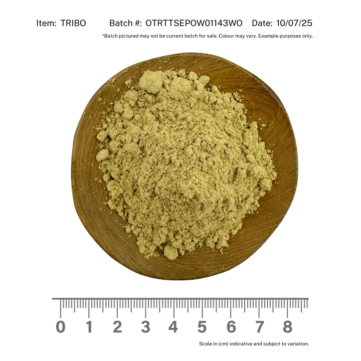 Tribulus Powder Organic - Image 2
