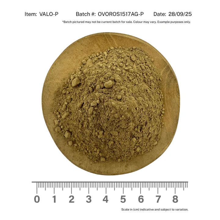 Valerian Root Organic Powder - Image 2