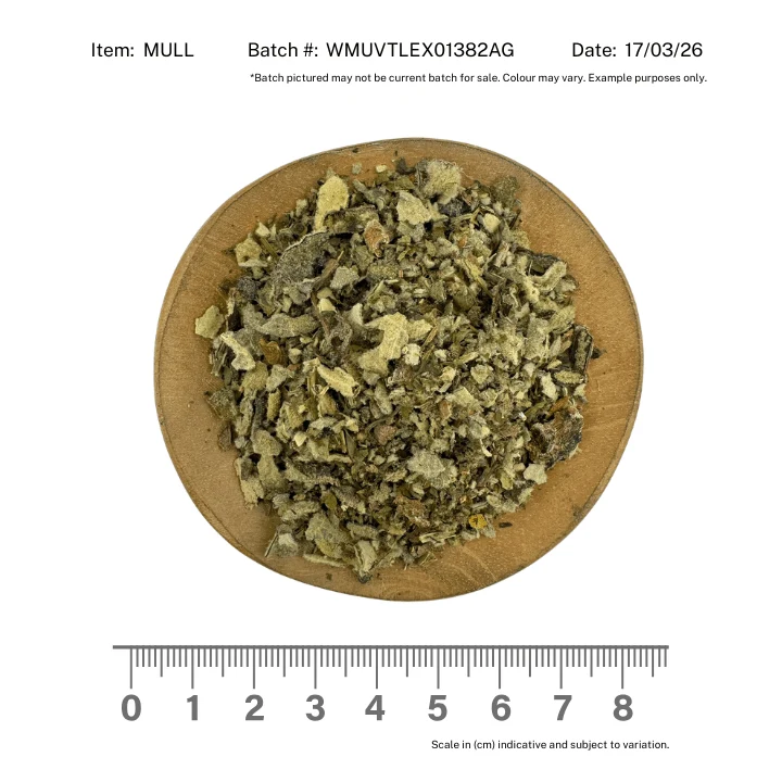 Wildcrafted Mullein - Image 2
