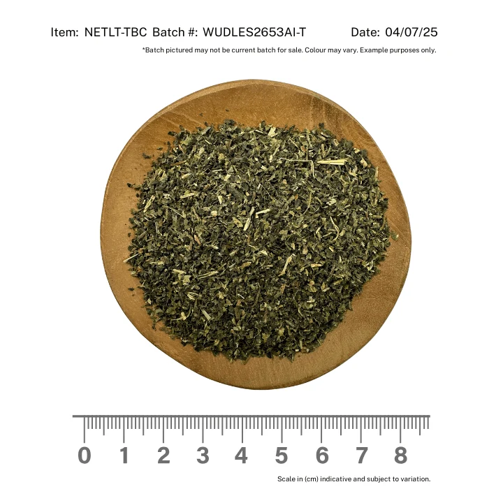 Wildcrafted Nettle Leaf - Teabag Cut - Image 2