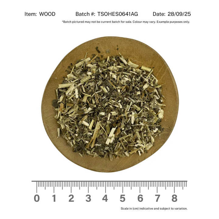 Wood Betony - Image 2