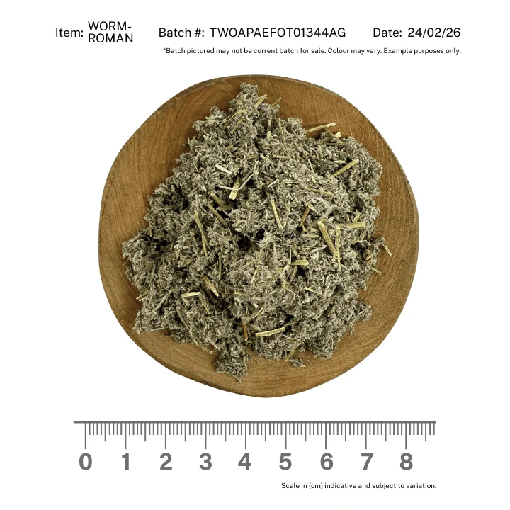 Wormwood ROMAN - Image 2