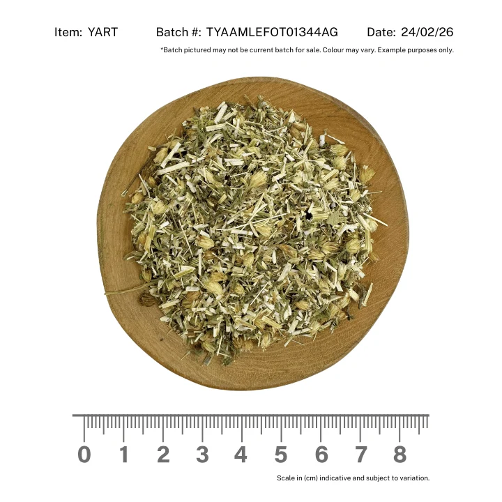 Yarrow Herb - Image 2