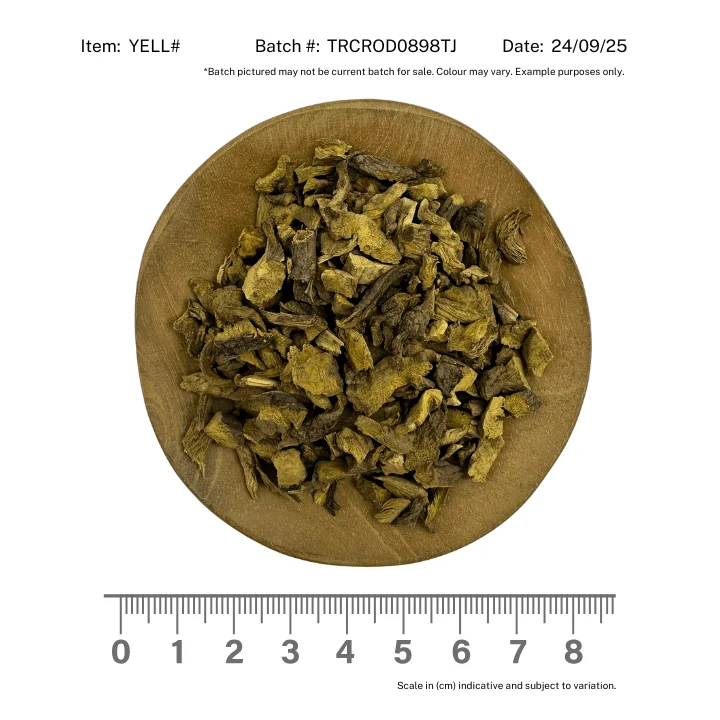 Yellow Dock Root - Image 2