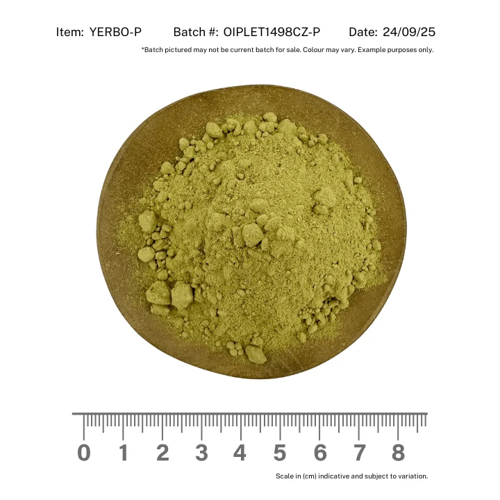 Yerba Mate Powder Organic - Image 2